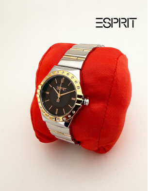ESPRIT Pair Watches